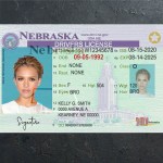 Nebraska Driver license PSD Template