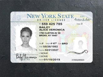 New York dl psd front