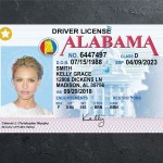 Alabama Driver license PSD Template