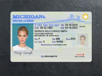 Michigan Driver license PSD Front