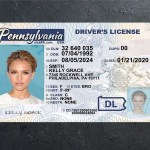 Pennsylvania Driver license PSD Template