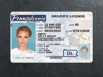 Pennsylvania dl front