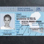 Ontario Driver license PSD Template Download
