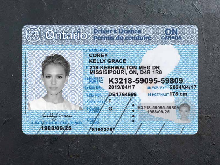 canada ontario driver license psd front