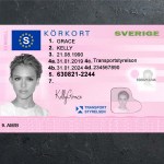 Sweden Driver license PSD Template