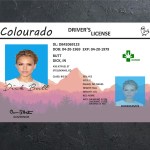 Colorado Old Driver license PSD Template Free Download