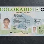 Colorado Driver license PSD Template