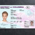 Columbia Driver license PSD Template