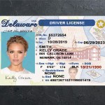 Delaware Driver license PSD Template