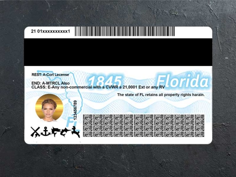 Florida Driver license Back