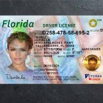 Florida Driver license PSD Template