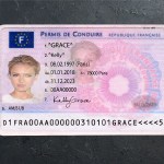 France Driver License PSD Template