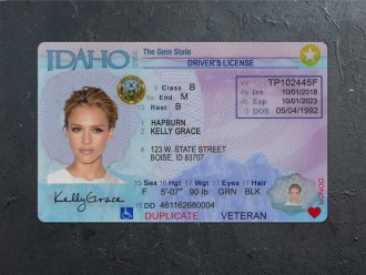 idaho dl psd front