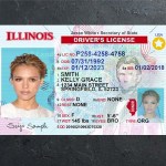 Illinois Driver license PSD Template
