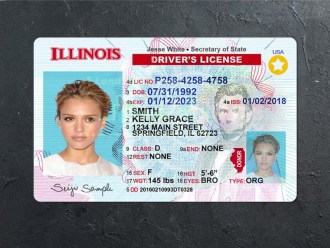 illinois dl psd template front