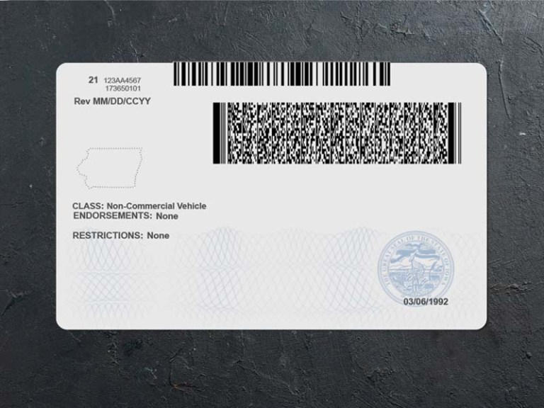 lowa dl psd back
