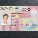 Maryland Driver license PSD Template