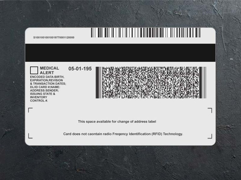 Michigan Driver license PSD Back