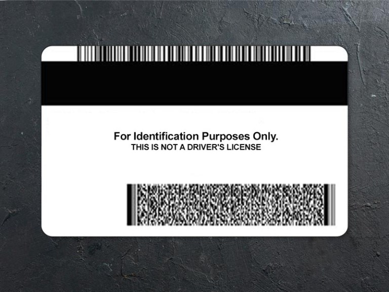 Minnesota id card psd back