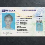 Montana Driver license PSD Template