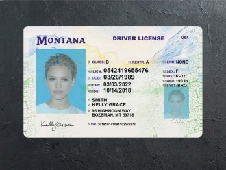 montana dl psd front