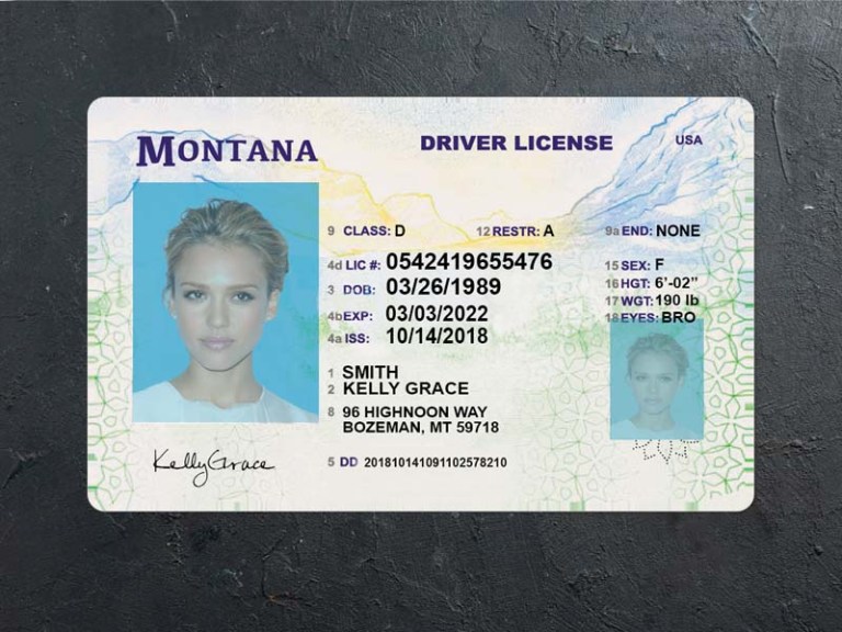 montana dl psd front