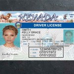 Nevada Driver license PSD Template