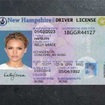 New Hampshire Driver license PSD Template