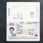 Romania Passport PSD Template