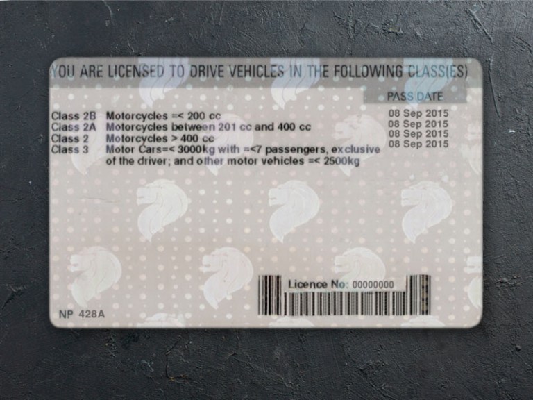 Singapore DL PSD Back