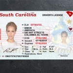 South Carolina Driver license PSD Template