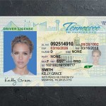 Tennessee Driver license PSD Template