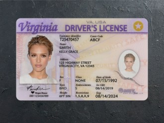 Virginia DL PSD Front