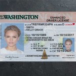 Washington Driver license PSD Template